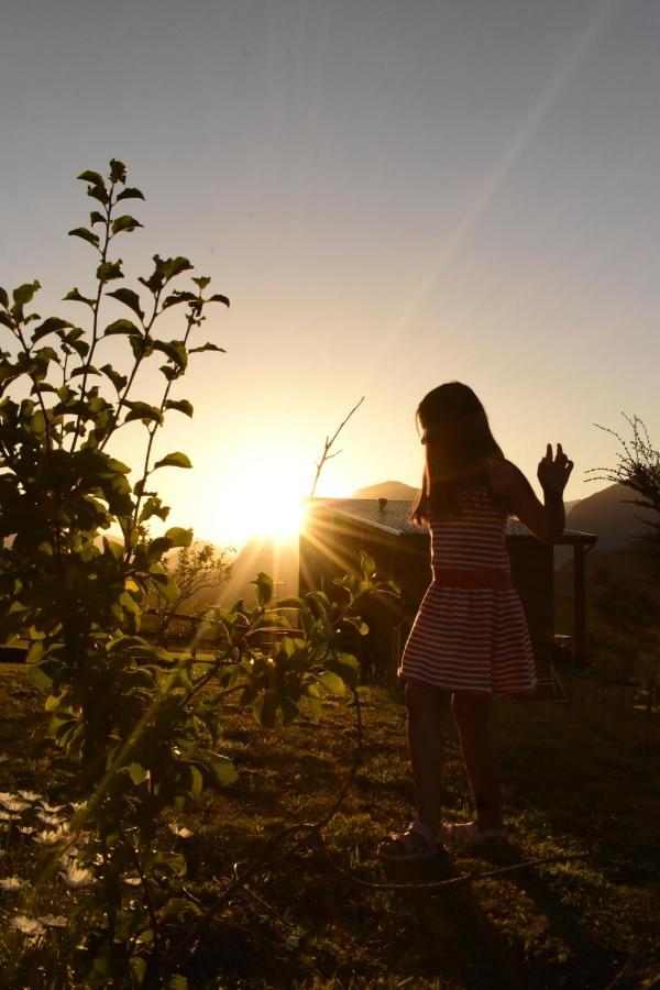 Alto Pangal Lodge Puerto Aisen Dış mekan fotoğraf