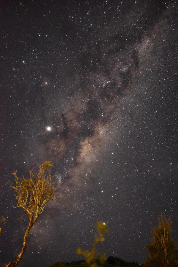 Alto Pangal Lodge Puerto Aisen Dış mekan fotoğraf