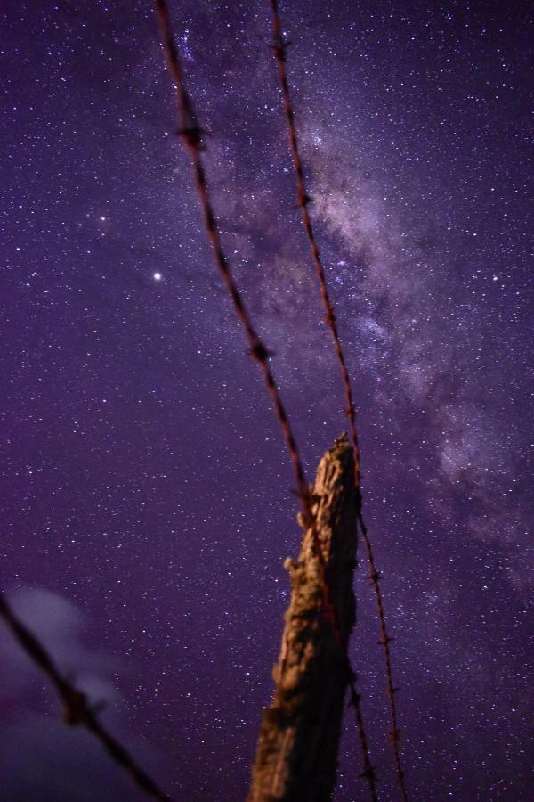 Alto Pangal Lodge Puerto Aisen Dış mekan fotoğraf